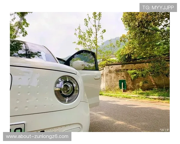 亚搏开户：注册过程中常遇到的问题及解决方案全攻略