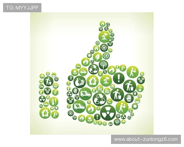 中国开云推动可持续发展的环保战略在中国市场的具体实践与成效