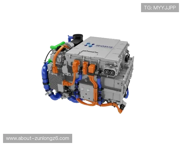 尊龙凯时手机版下载：最新版本更新内容介绍与功能亮点分析
