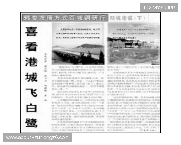 尊龙凯时公司面对行业挑战的应对策略与持续发展路径 尊龙凯时公司面对行业挑战的应对策略与持续发展路径