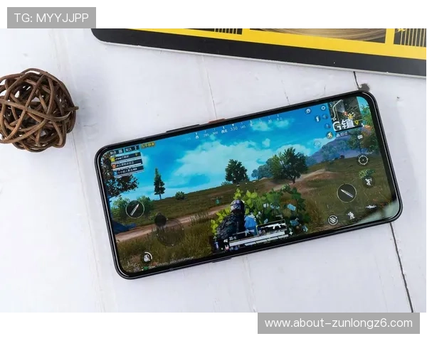 Z6尊龙旗舰厅中国用户如何选择正规平台保障资金安全与游戏体验